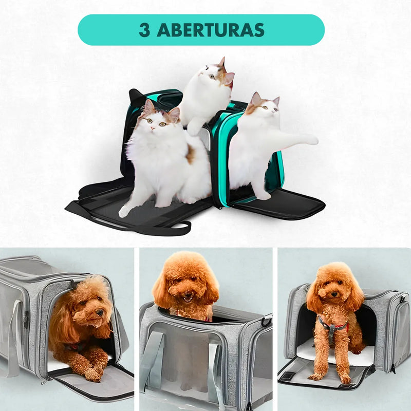 Bolsa de viagem para transporte Pet - Azul